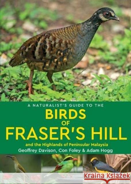 A Naturalist's Guide to the Birds of Fraser's Hill & the Highlands of Peninsular Malaysia Geoffrey Davison 9781912081547 John Beaufoy Publishing Ltd - książka