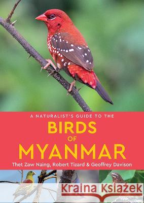 A Naturalist's Guide to the Birds of Myanmar Geoffrey Davison 9781909612723 John Beaufoy Publishing Ltd - książka
