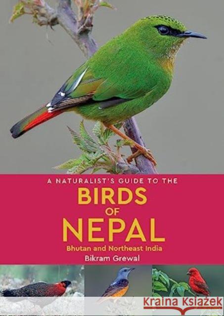 A Naturalist's Guide to the Birds of Nepal Bikram Grewal 9781912081394 John Beaufoy Publishing Ltd - książka