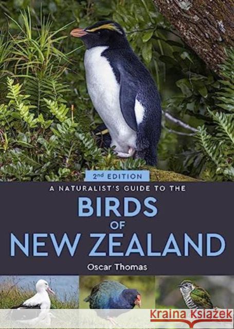 A Naturalist's Guide to the Birds Of New Zealand Oscar Thomas 9781913679415 John Beaufoy Publishing Ltd - książka