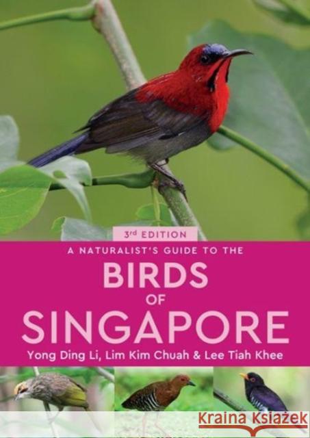 A Naturalist's Guide to the Birds of Singapore Li, Yong Ding|||Lim, Kim Chuah|||Lee, Tiah Khee 9781912081653 John Beaufoy Publishing Ltd - książka