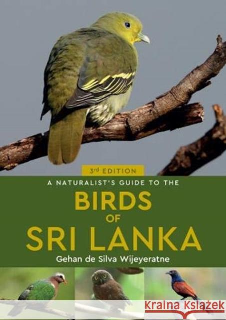 A Naturalist's Guide to the Birds of Sri Lanka (3rd edition) Gehan de Silva Wijeyeratne 9781913679002 John Beaufoy Publishing Ltd - książka