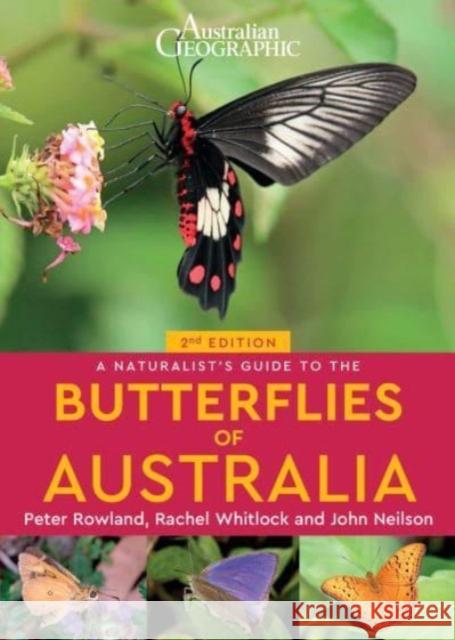 A Naturalist's Guide to the Butterflies of Australia (2nd) Rachel Whitlock John Nielsen Peter Rowland 9781913679194 John Beaufoy Publishing Ltd - książka