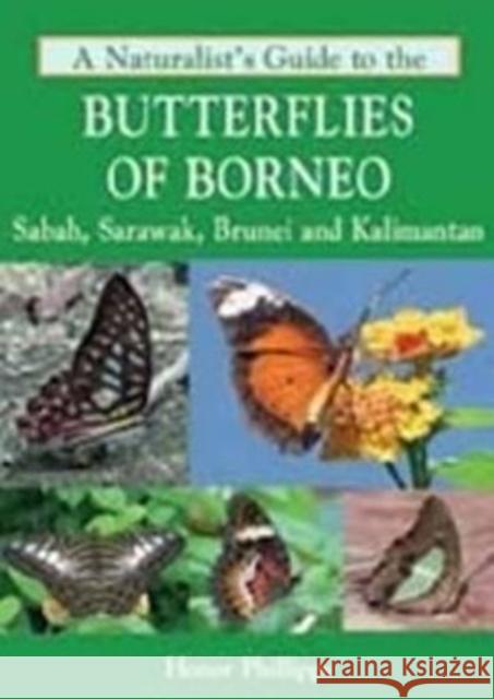 A Naturalist's Guide to the Butterflies of Borneo Honor Phillipps 9781906780692  - książka