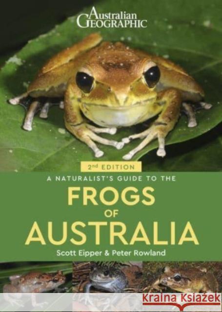 A Naturalist's Guide to the Frogs of Australia (2nd) Peter Rowland 9781913679354 John Beaufoy Publishing Ltd - książka