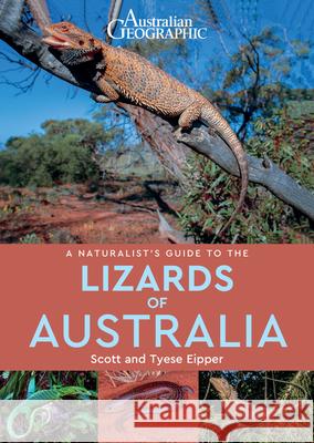 A Naturalist's Guide to the Lizards of Australia Scott Eipper Tyese Eipper 9781913679064 John Beaufoy Publishing - książka