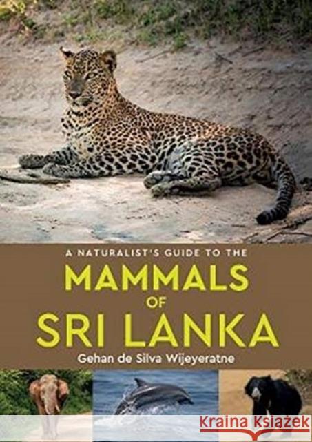 A Naturalist's Guide to the Mammals of Sri Lanka Gehan de Silva Wijeyeratne 9781912081448 John Beaufoy Publishing Ltd - książka