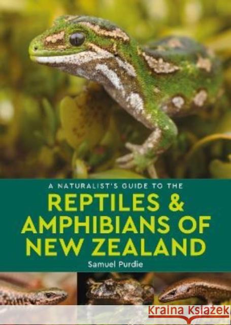 A Naturalist's Guide to the Reptiles & Amphibians Of New Zealand Samuel Purdie 9781913679316 John Beaufoy Publishing Ltd - książka