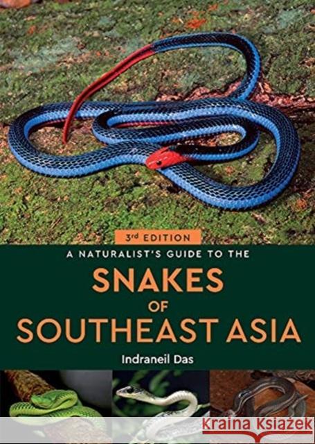 A Naturalist's Guide to the Snakes of Southeast Asia (3rd ed) Indraneil Das 9781913679095 John Beaufoy Publishing Ltd - książka