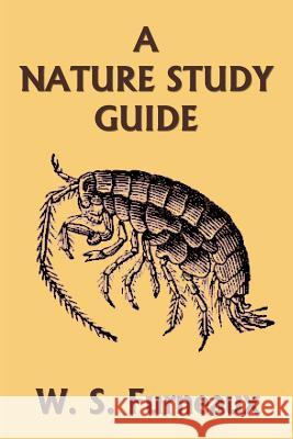 A Nature Study Guide (Yesterday's Classics) W S Furneaux 9781633340381 Yesterday's Classics - książka