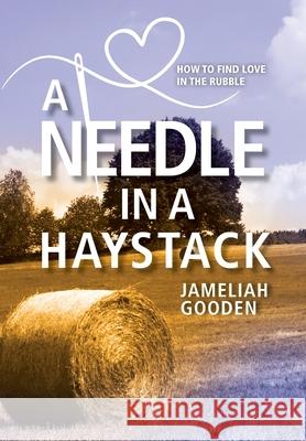 A Needle in a Haystack: How to Find Love in the Rubble Jameliah Gooden 9781954614710 Warren Publishing, Inc - książka