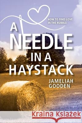 A Needle in a Haystack: How to Find Love in the Rubble Jameliah Gooden 9781954614727 Warren Publishing, Inc - książka