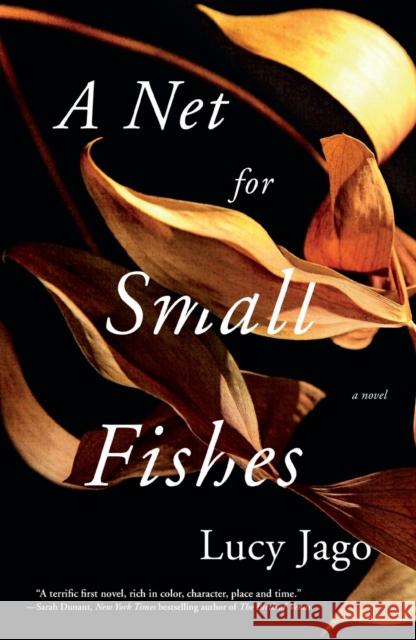 A Net for Small Fishes Lucy Jago 9781250261960 Flatiron Books - książka