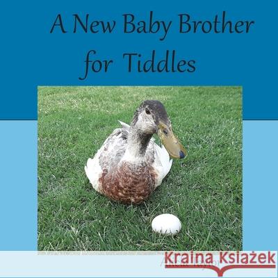 A New Baby Brother for Tiddles Alicia Taylor 9780645092448 Alicia Taylor - książka