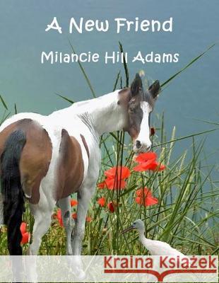 A New Friend Milancie Hill Adams Kathy Wilkes Milancie Hill Adams 9781712216118 Independently Published - książka