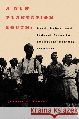 A New Plantation South: Land, Labor, and Federal Favor in Twentieth-Century Arkansas Jeannie M. Whayne 9780813925943 University of Virginia Press - książka