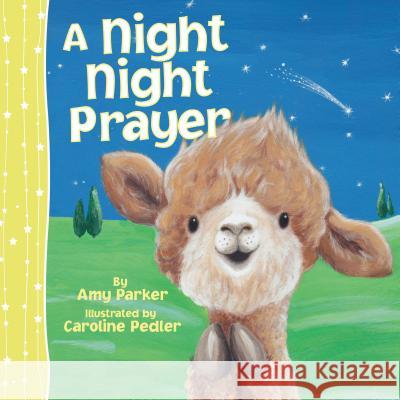 A Night Night Prayer Amy Parker Caroline Pedler 9781400324316 Thomas Nelson Publishers - książka