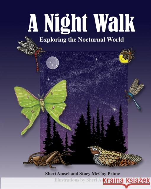A Night Walk: Exploring the Nocturnal World Sheri Amsel Sheri Amsel Stacy McCoy 9781943201600 Am Ink Publishing - książka