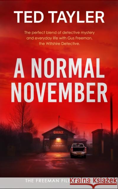 A Normal November: A Cold Case Murder Mystery Series Ted Tayler 9781036705015 Vinci Books - książka