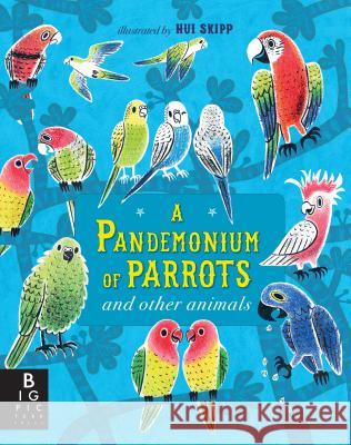 A Pandemonium of Parrots and Other Animals Kate Baker Hui Skipp 9781536202793 Big Picture Press - książka