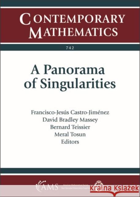 A Panorama of Singularities Francisco-Jesus Castro-Jimenez David Bradley Massey Bernard Teissier 9781470447922 American Mathematical Society - książka