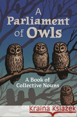 A Parliament of Owls: A Book of Collective Nouns Rhodes, Chloe 9781789295955 Michael O'Mara Books Ltd - książka