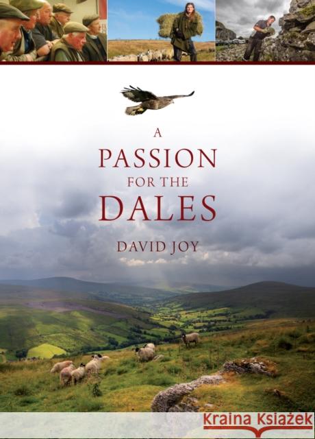 A Passion For The Dales David Joy 9781912101030 Great Northern Books Ltd - książka