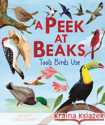 A Peek at Beaks: Tools Birds Use Sara Levine Kate Slater 9781541587342 Millbrook Press (Tm) - książka