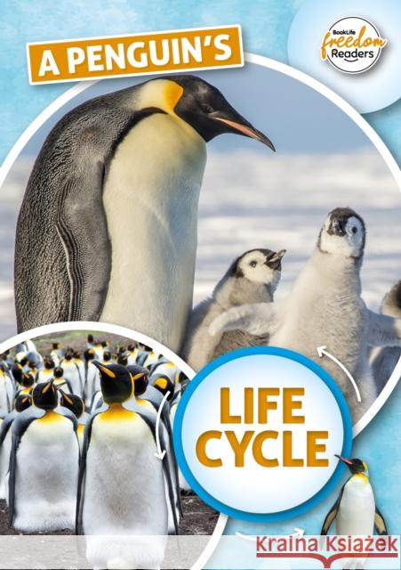A Penguin's Life Cycle Madeline Tyler 9781801551359 BookLife Publishing - książka