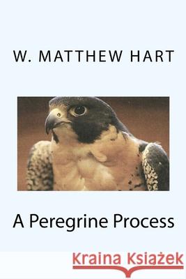 A Peregrine Process W. Matthew Hart 9781482761740 Createspace - książka