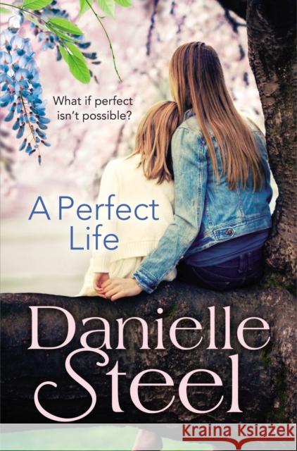 A Perfect Life Danielle Steel 9780552165884 Transworld Publishers Ltd - książka