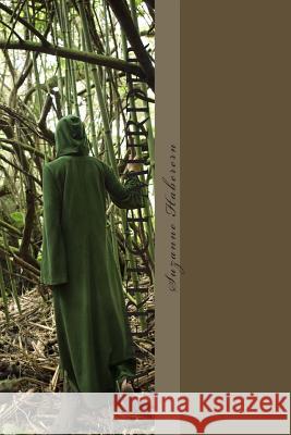 A Perfect Murder Suzanne Haberern 9781505327434 Createspace - książka