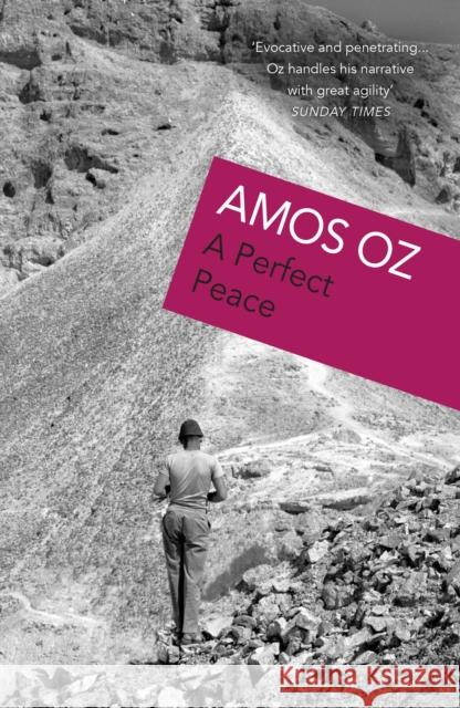 A Perfect Peace Amos Oz 9780099265818 VINTAGE - książka