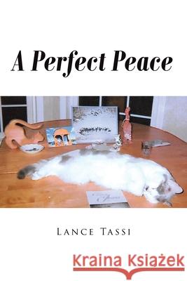 A Perfect Peace Lance Tassi 9781645155676 Christian Faith Publishing, Inc - książka