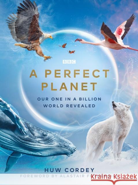 A Perfect Planet Huw Cordey 9781785945298 BBC Books - książka