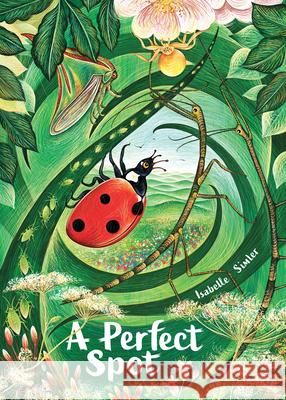 A Perfect Spot Isabelle Simler 9780802855886 Eerdmans Books for Young Readers - książka