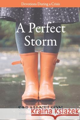 A Perfect Storm: Devotions During A Crisis Shelley Reeves Susan Graves Sarah Nelson 9780578859934 Sarah Nelson - książka