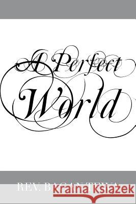 A Perfect World Rev Bagan Tewa 9781469194844 Xlibris Corporation - książka