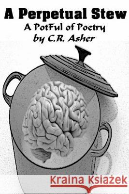A Perpetual Stew C. R. Asher 9781312938977 Lulu.com - książka