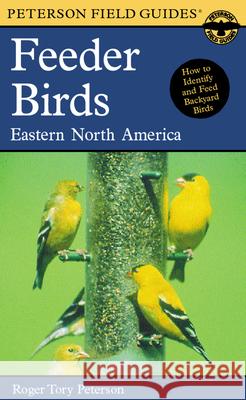 A Peterson Field Guide to Feeder Birds: Eastern and Central North America Peterson, Roger Tory 9780618059447 Houghton Mifflin Company - książka