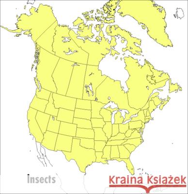 A Peterson Field Guide to Insects: America North of Mexico Donald J. Borror Mariner Books                            Richard E. White 9780395911709 Houghton Mifflin Company - książka