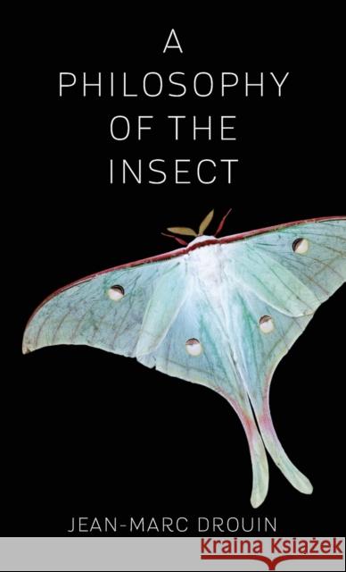 A Philosophy of the Insect Jean-Marc Drouin Anne Trager 9780231175784 Columbia University Press - książka