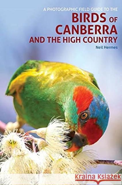 A Photographic Field Guide to Birds of Canberra & the High Country (2nd ed) Neil Hermes 9781913679170 John Beaufoy Publishing Ltd - książka