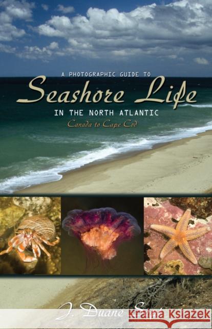 A Photographic Guide to Seashore Life in the North Atlantic: Canada to Cape Cod Sept, J. Duane 9780691133195 Princeton University Press - książka