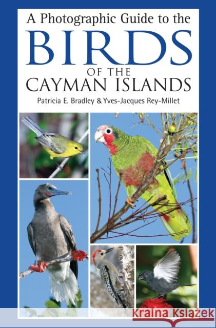 A Photographic Guide to the Birds of the Cayman Islands Patricia E. Bradley Yves-Jacques Rey-Millet 9781472983534 Helm - książka