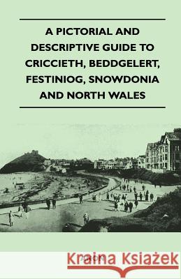 A Pictorial and Descriptive Guide to Criccieth, Beddgelert, Festiniog, Snowdonia and North Wales Anon 9781446544556 Mottelay Press - książka