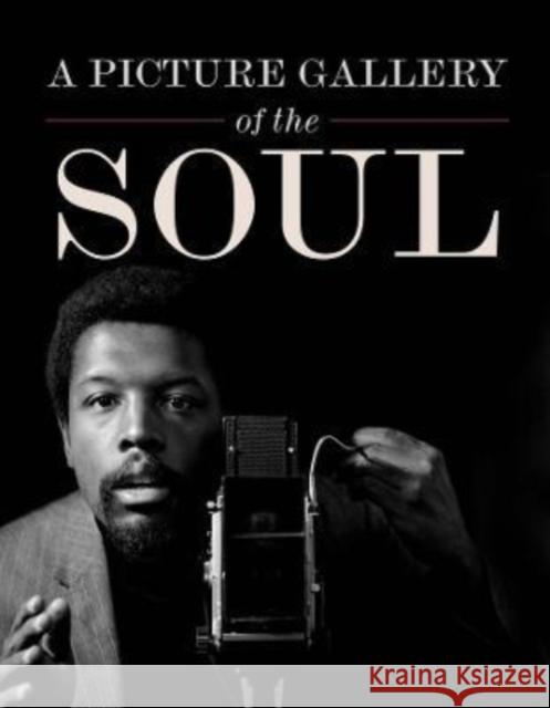 A Picture Gallery of the Soul  9780520388062 University of California Press - książka