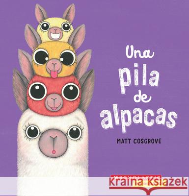 A Pila de Alpacas (a Stack of Alpacas) Cosgrove, Matt 9781338715491 Scholastic en Espanol - książka