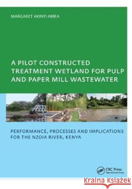 A Pilot Constructed Treatment Wetland for Pulp and Paper Mill Wastewater: Performance, Processes and Implications for the Nzoia River, Kenya, Unesco-I Margaret Akinyi Abira 9781138459496 CRC Press - książka