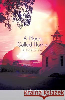 A Place Called Home: A Home for Peter Edna Stark 9781645380535 Orange Hat Publishing - książka